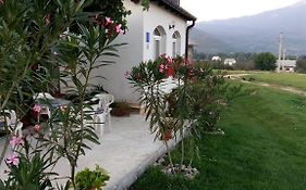 Apartments Zegarac House